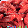 Bayas de goji de las muestras libres bayas goji razonables del precio de goji con alta exportación